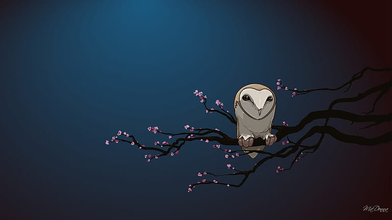 Masked Owl on Cherry Tree, sakura, owl, tree, bird, cherry tree, Firefox Persona theme, blue, HD wallpaper