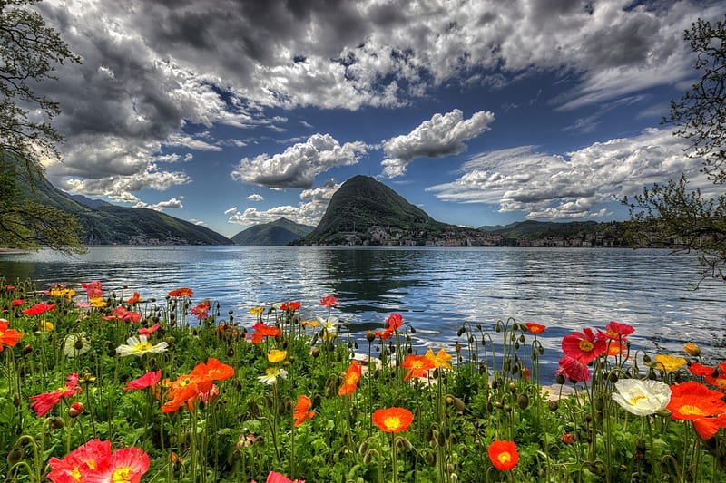 Scenery in Switzerland, Lake, Flowers, Sky, Nature, HD wallpaper