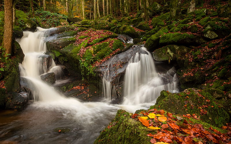 Waterfall, autumn, river, autumn forest, Auvergne, France, HD wallpaper