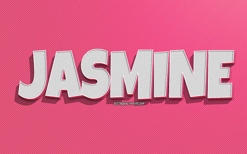 Jasmine, pink lines background, with names, Jasmine name, female names, Jasmine greeting card, line art, with Jasmine name, HD wallpaper