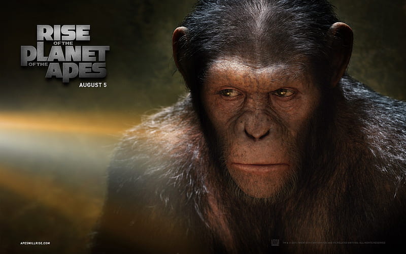 Rise of the Planet of the Apes movie 06, HD wallpaper