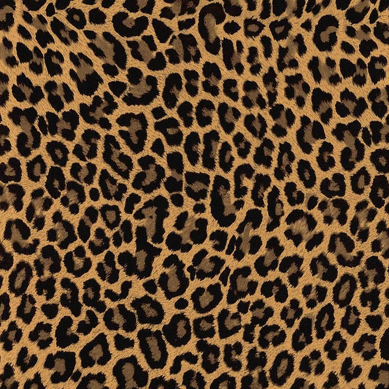 Showing Gallery For Leopard Skin [] for your , Mobile & Tablet. Explore Leopard Skin . Snow Leopard , Zebra Print , Leopard for Bedroom, HD phone wallpaper