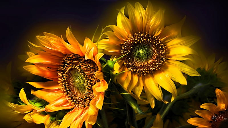 Flowers of the Sun, fall, autumn, sunflowers, bright, summer, flowers, HD  wallpaper | Peakpx