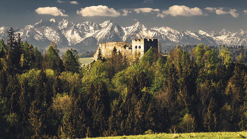 Castles, Czorsztyn Castle, Landscape, Mountain, HD wallpaper