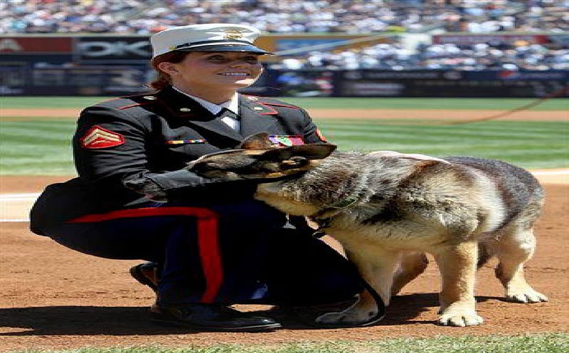 Marine Cpl. and Purple Heart recipient Megan Leavey and combat dog