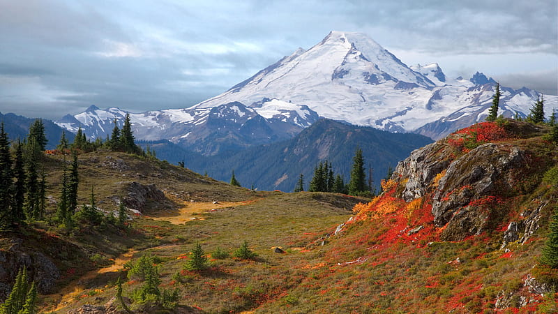 Mount Baker., mountain, tree, snow, nature, sky, scenery, landscape, HD wallpaper
