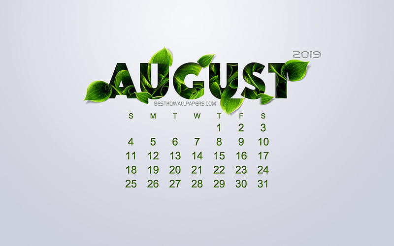 2019 August Calendar, creative floral art, white background, green leaves, spring, 2019 calendars, August, ecological concept, calendar for 2019 August, HD wallpaper