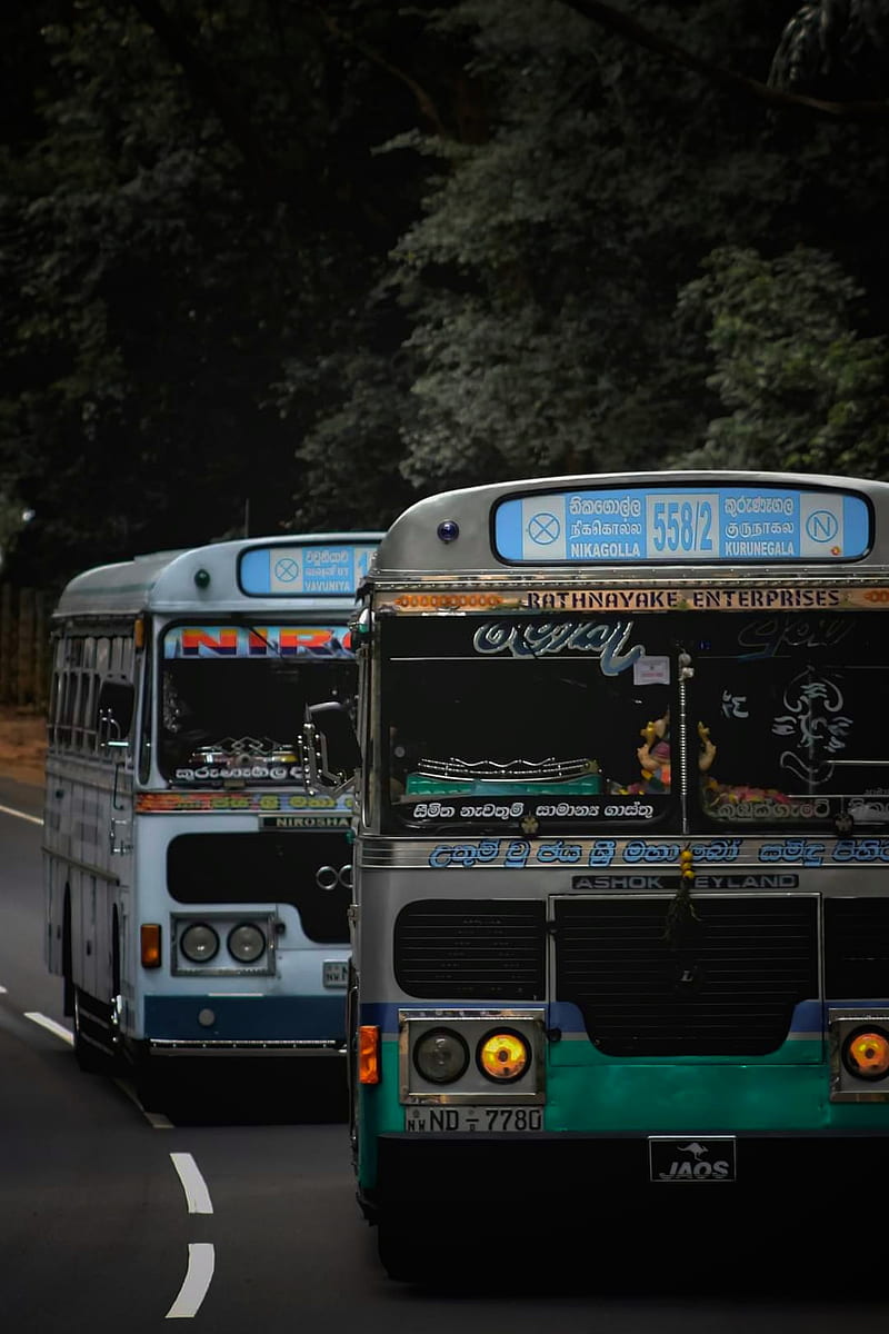 Bus Life Sri Lanka, 2020, bonito, dark, environment, nature, sri lanka, tree, vehicle, venom x graphy, HD phone wallpaper