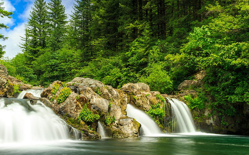 river, waterfall, forest, summer, beautiful waterfall, River Falls State Park, USA, HD wallpaper