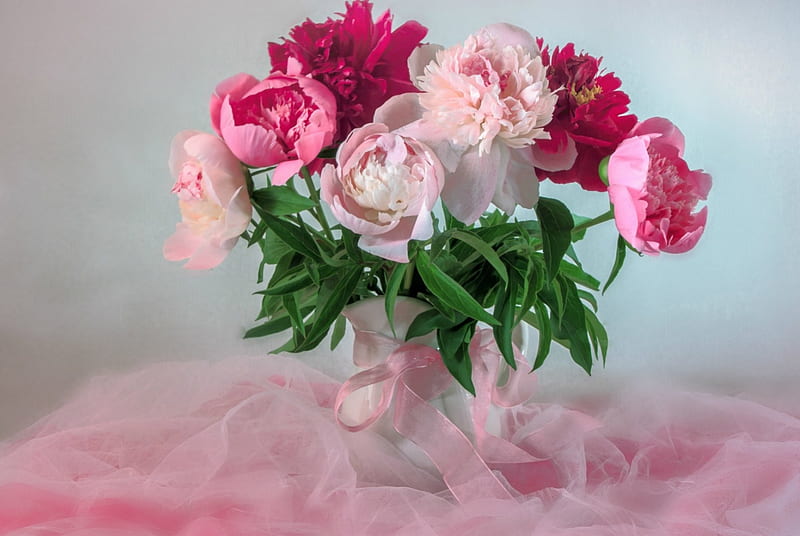 Peonies, peony, red, still life, green, flower, vase, pink, HD wallpaper