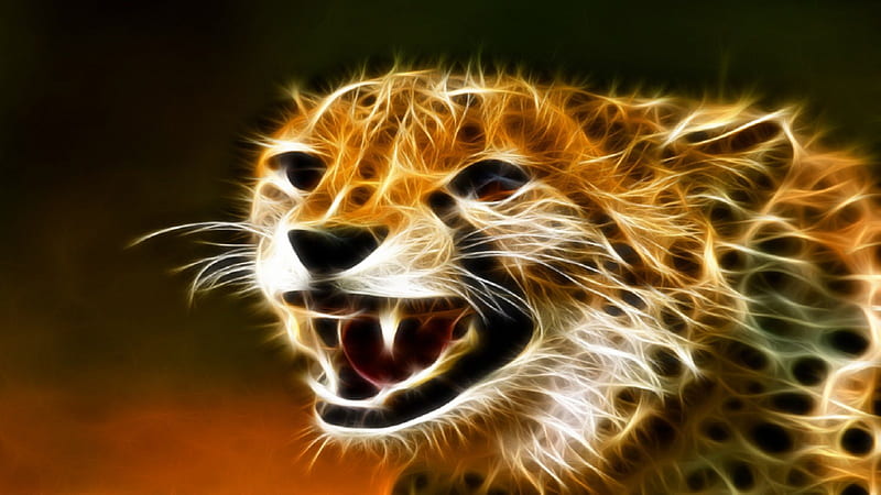 Cheetah, big cat, brown, orange, livingdoll, black, yellow, cat, gold, whiskers, spots, big, white, teeth, HD wallpaper
