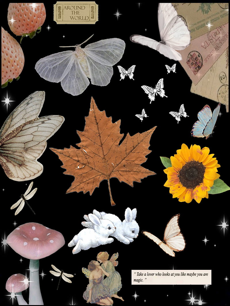 Fairycore, nature, fairy, HD phone wallpaper