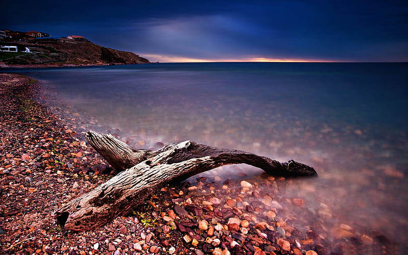driftwood-ocean Landscape, HD wallpaper