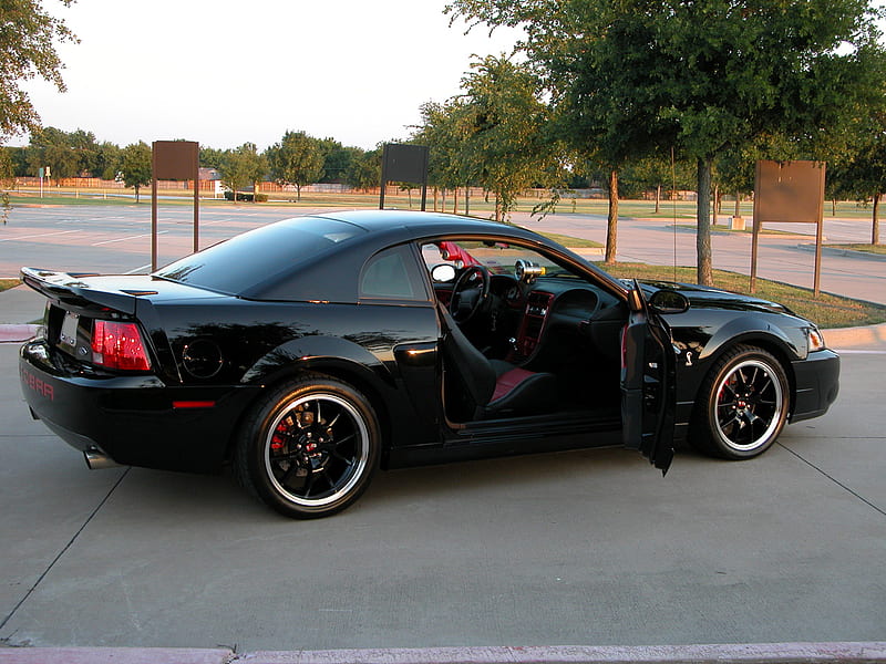 2004 Ford Mustang Cobra, mustang, 2004, ford, black, cobra, HD wallpaper