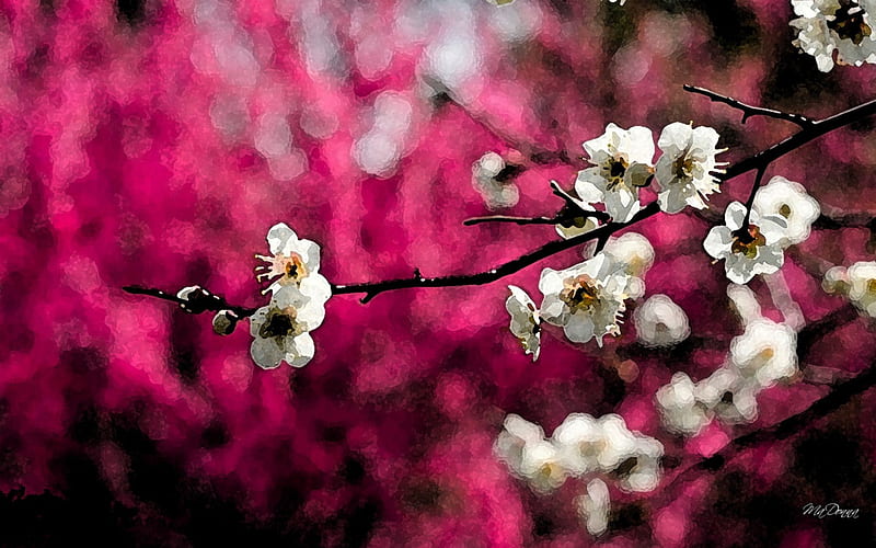 Watercolor Spring Blossoms, sakura, fragrant, magenta, spring, apple blossoms, cherry blossoms, floral, tree, bright, blossoms, flowers, blooms, pink, watercolor, HD wallpaper