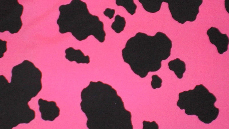 Pink And Black Cow Print Cow Print, HD wallpaper