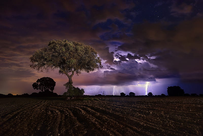 Lightning Night Storm, HD wallpaper