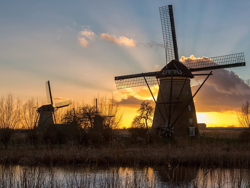 windmills, home place, molen, kinderdijk, netherlands, south holland, water, in, Home town, HD wallpaper