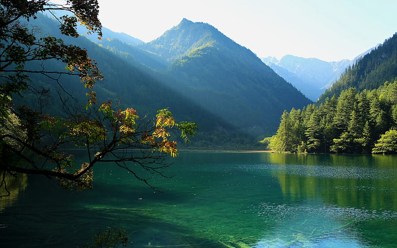 Jiuzhaigou National Park, summer, lake, forest, mountains, China, Asia, HD wallpaper