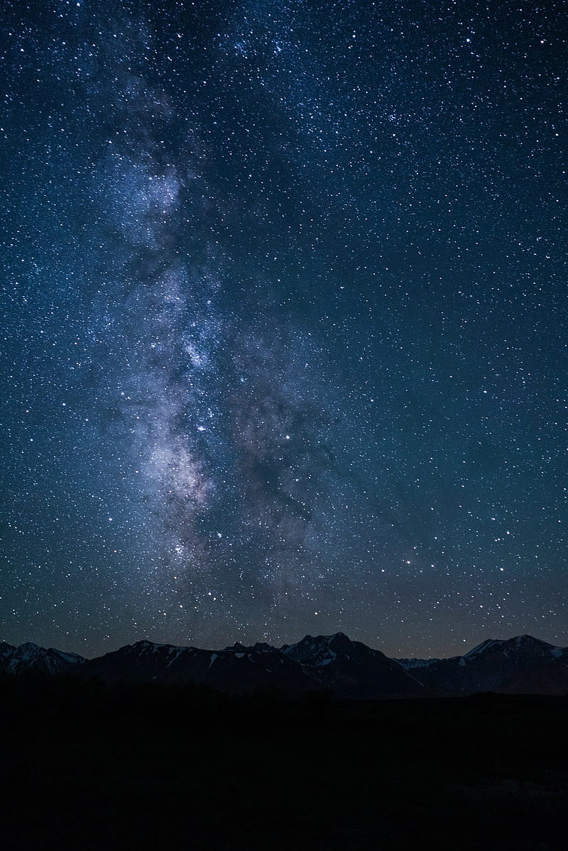 Starry sky, cosmic, forest, galaxy, milky way, mountain, night, sky, space, stars, HD phone wallpaper