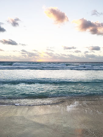 Wave Dancers - Horses F1, equine, surf, waves, horse, beach, graphy ...