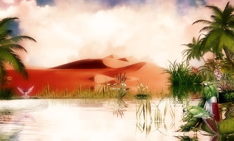 Landscape, Sunset, Desert, Flower, Bird, Evening, Artistic, Palm Tree, Peach (Color), HD wallpaper