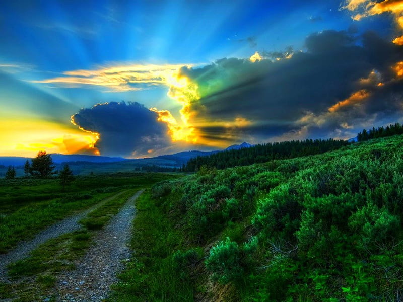 Beautiful sky, path, nature, dawn, sky, HD wallpaper