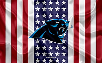 Carolina Panthers Logo American Flag 3D T-Shirts1