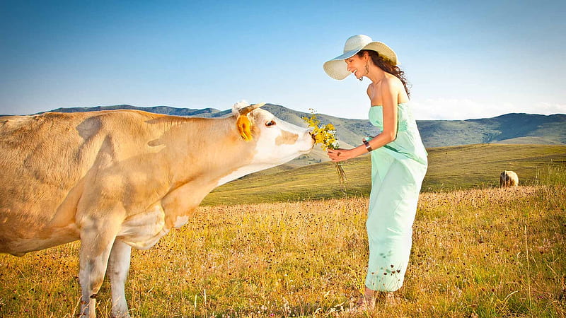 Sunday Morning Cowgirl . ., cow, hats, cowgirl, digital art, women, outdoors, brunettes, fantasy, flowers, fashion, western, HD wallpaper