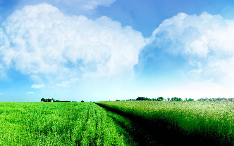 Verdant Field !!!, cloud, gree, nature, fields, way, sky, HD wallpaper