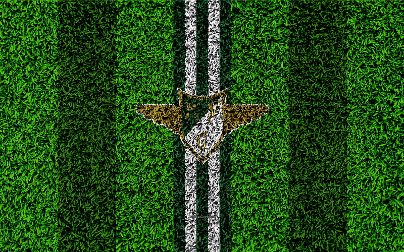 Moreirense FC logo, football lawn, Portuguese football club, white green lines, Primeira Liga, Moreira de Ceniguche, Portugal, football, HD wallpaper