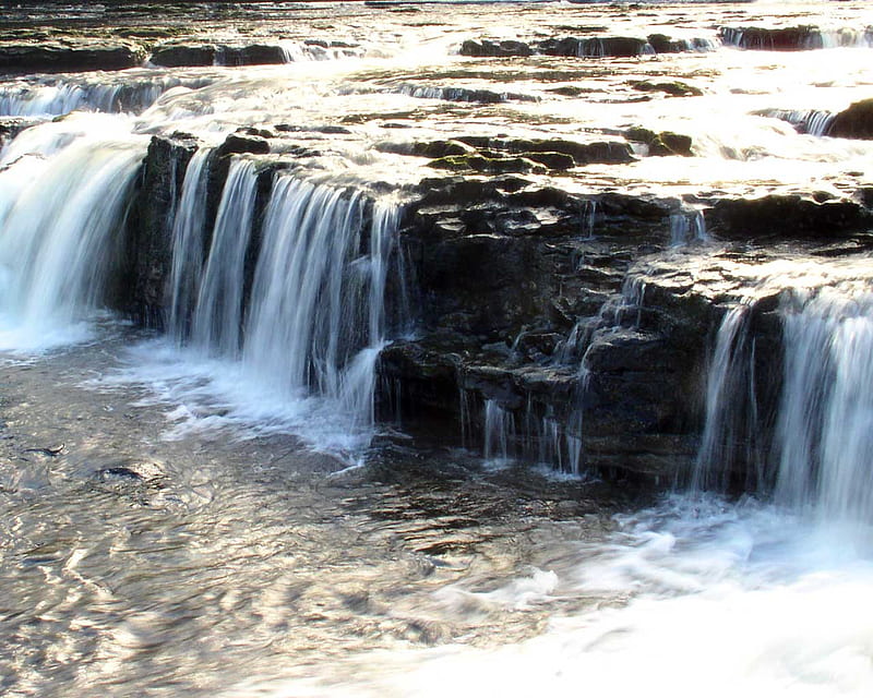 Aysgarth Falls, Yorkshire Dale, England, rocks, water, flowing, white, waterfalls, falls, HD wallpaper