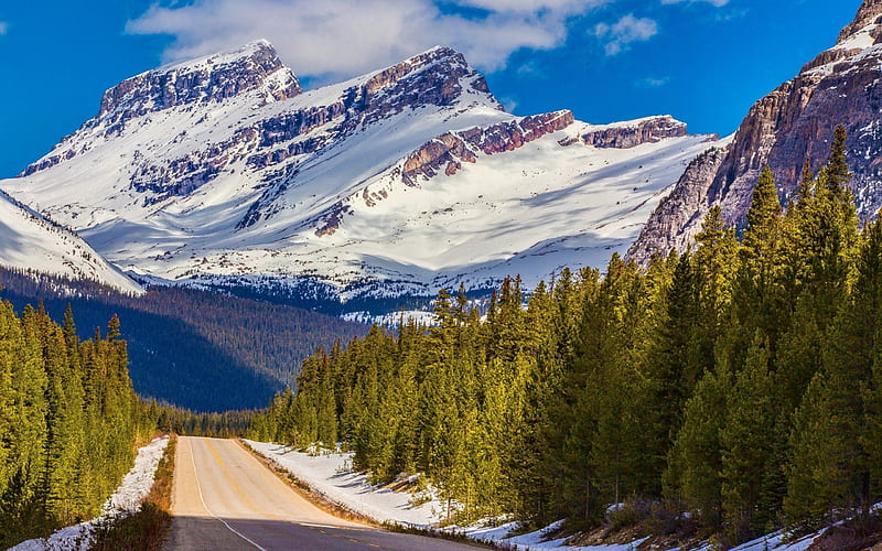 mountain landscape, forest, road, mountain, USA, banff national park, HD wallpaper