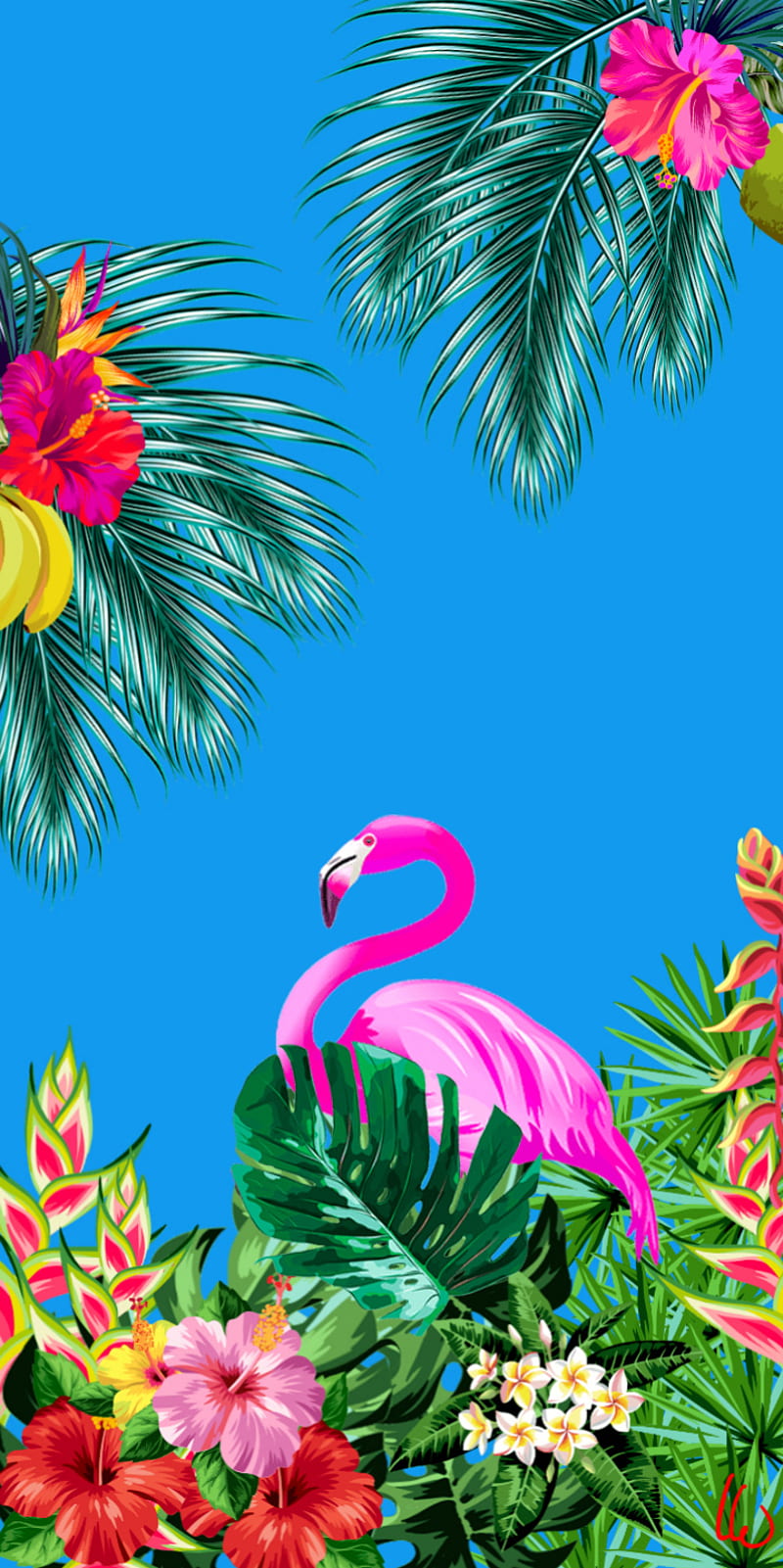Tropical paradise, rainforest, Flowers, bird, HD phone wallpaper