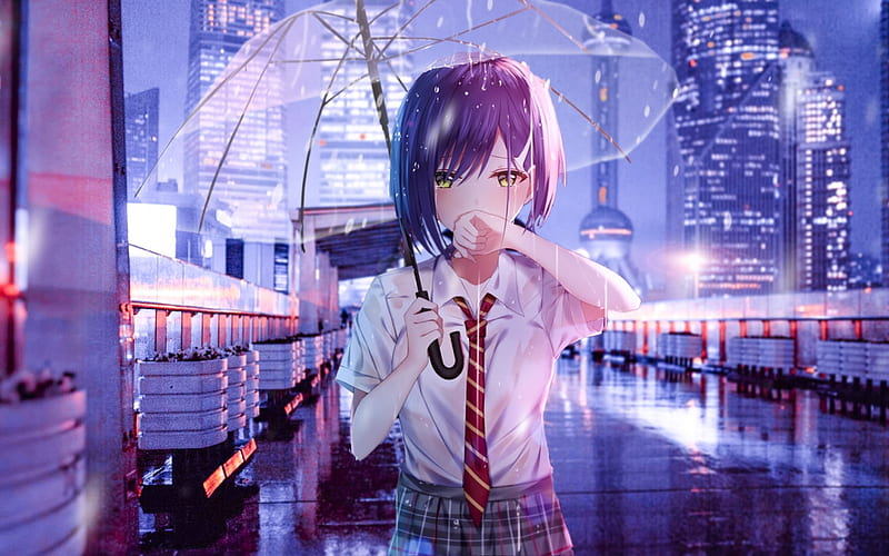 Rain , Anime Art, Cry, Anime Girl, Umbrella, Transparent Umbrella • For You, HD wallpaper