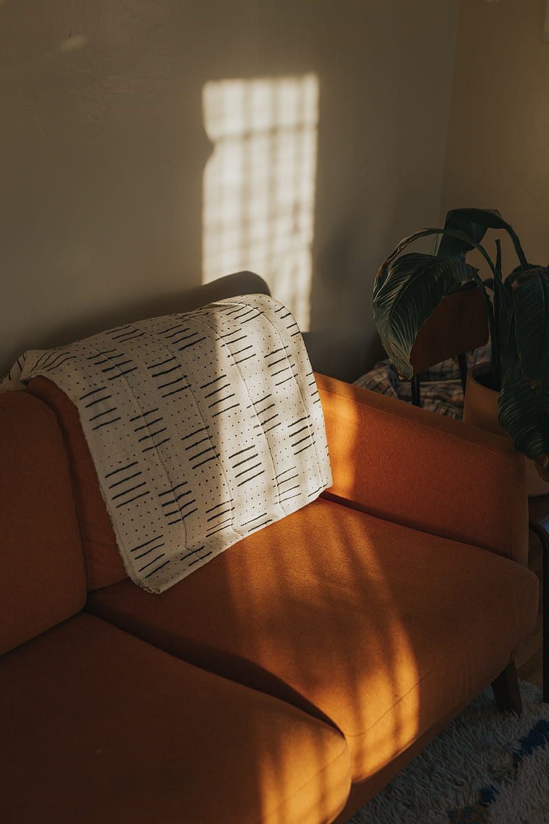 sofa, pillows, plant, interior, aesthetics, HD phone wallpaper