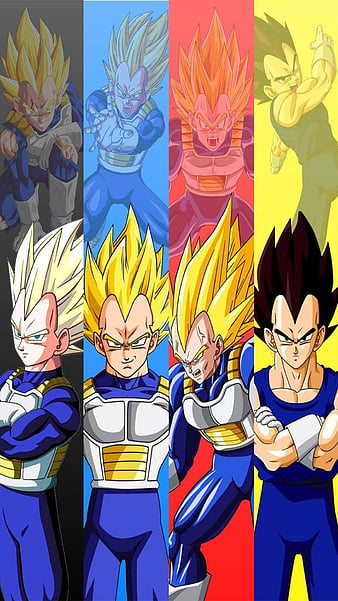 Fases de Goku 3, fases de goku 1, fases de goku 2, goku sayayin blue, HD  phone wallpaper | Peakpx