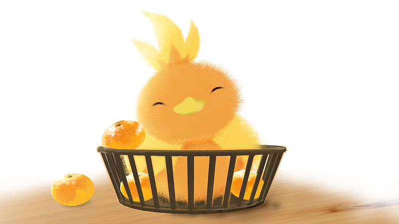 Pokémon, Cute, Torchic (Pokemon), HD wallpaper