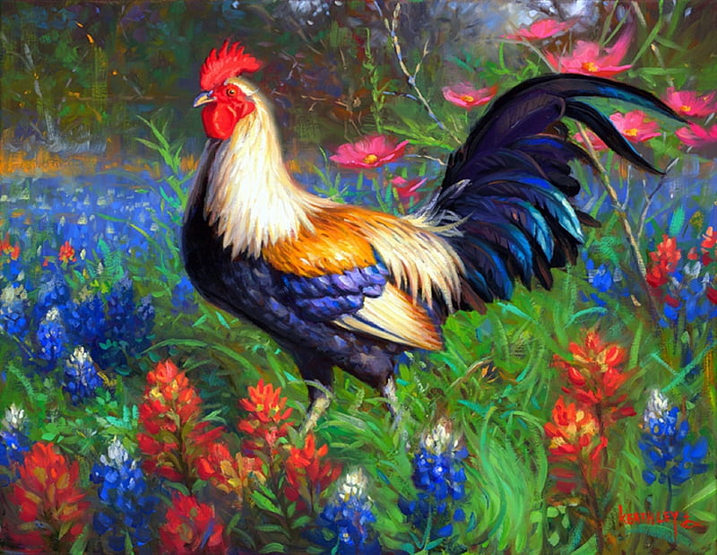 ★The Lovely Rooster★, rooster, lovely, wild flowers, colors, love four seasons, bonito, creative pre-made, paintings, bright, flowers, nature, animals, HD wallpaper
