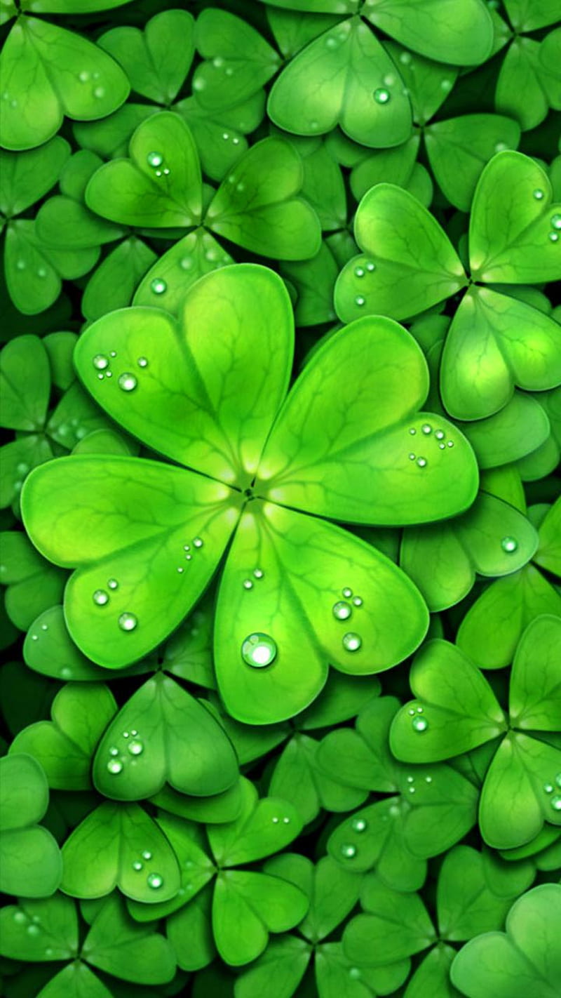 Four Leaf Clover Wallpapers  Top Free Four Leaf Clover Backgrounds   WallpaperAccess