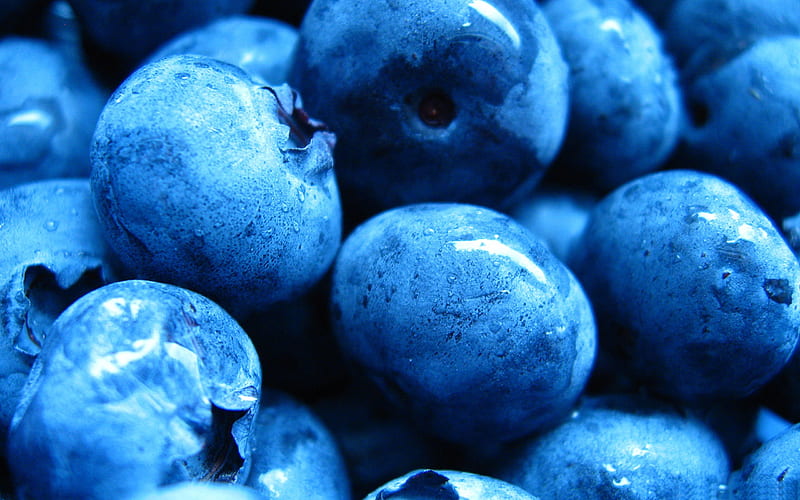 blueberries macro-, HD wallpaper
