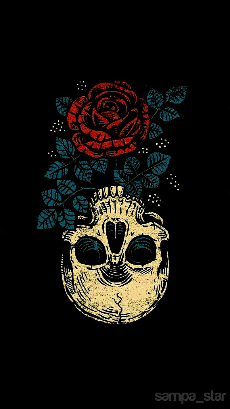 Skull and Rose, skull, rose, HD phone wallpaper