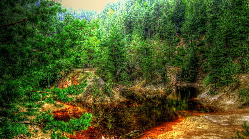 rusty pond in a forest r, forest, rusty, colors, r, lake, HD wallpaper