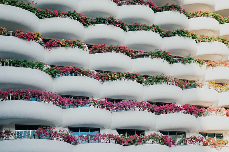 building, architecture, balconies, white, flowers, HD wallpaper