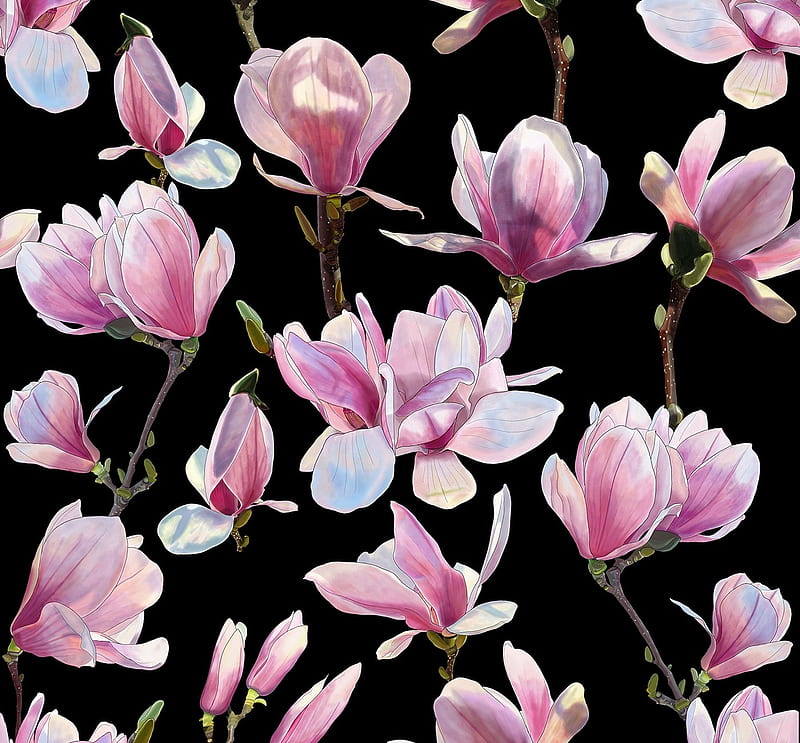 Patrones, flores, rosas, negras, texturas, magnolia, primavera, Fondo de  pantalla HD | Peakpx