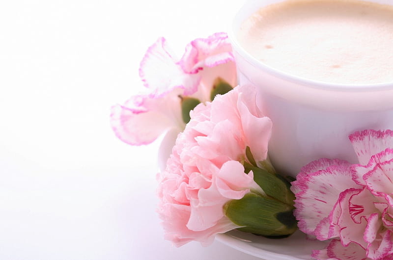 Coffee, drinks, soft, cup, flower, flowers, drink, pink, cups, HD