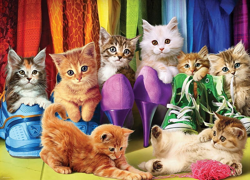 Kittens and shoes, colorful, cute, art, kitten, cat, pisici, sweet, shoes, HD wallpaper