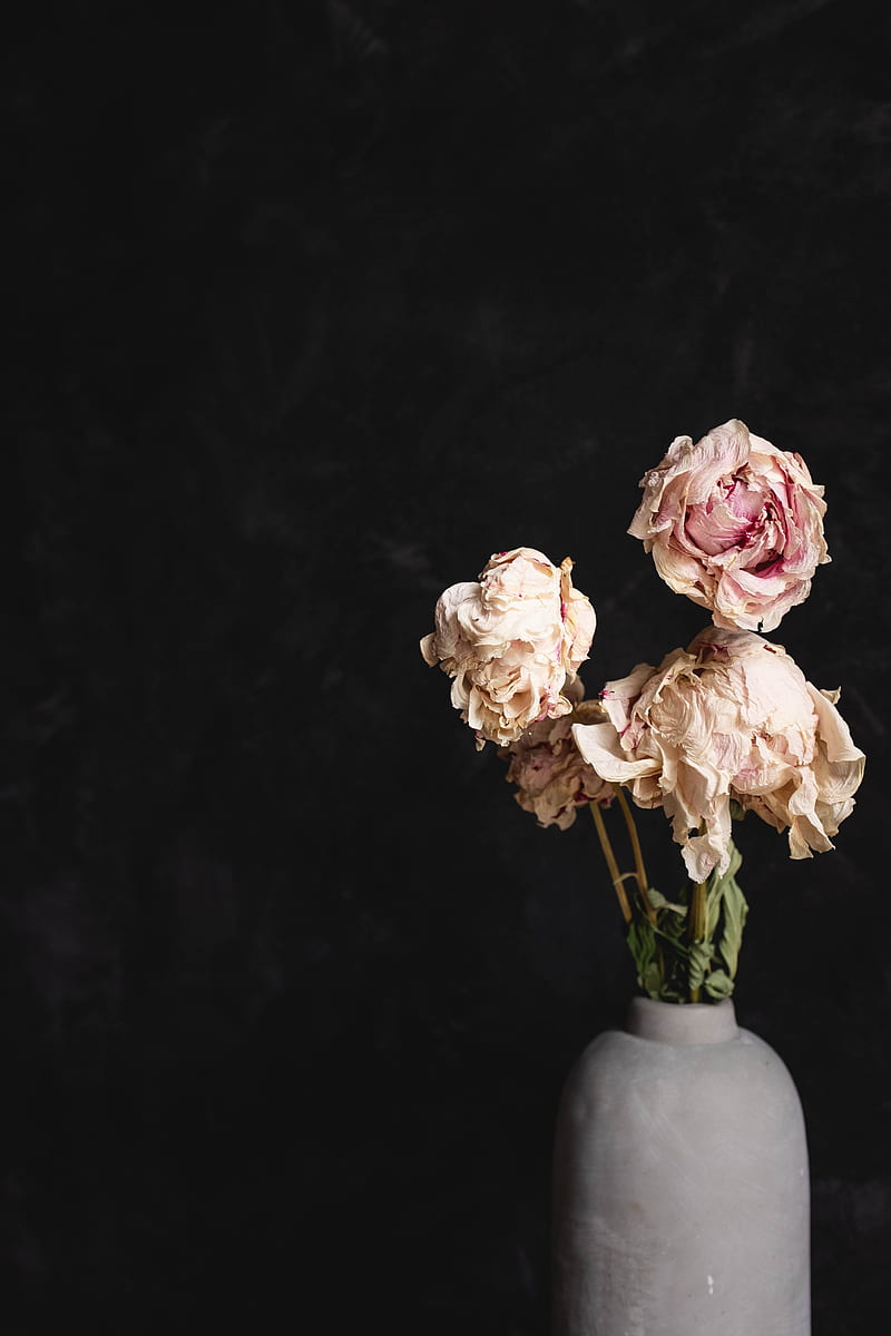 roses, bouquet, flowers, dry, vase, HD phone wallpaper
