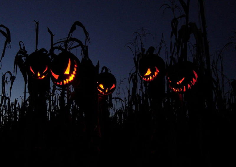 Evil Scarecrows, corn field, pumpkin heads, scaresrows, night, HD wallpaper