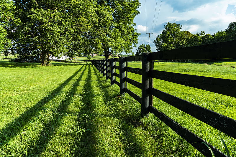 Kentucky Country Fence, fence, farm, kentucky, land, country, HD wallpaper